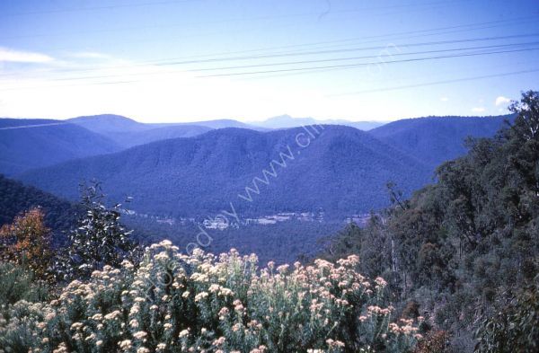 Countryside between Mansfield & Mount Buffalo, Victoria State